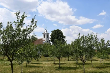Charlotenburg | Singurul „sat rotund“ din România
