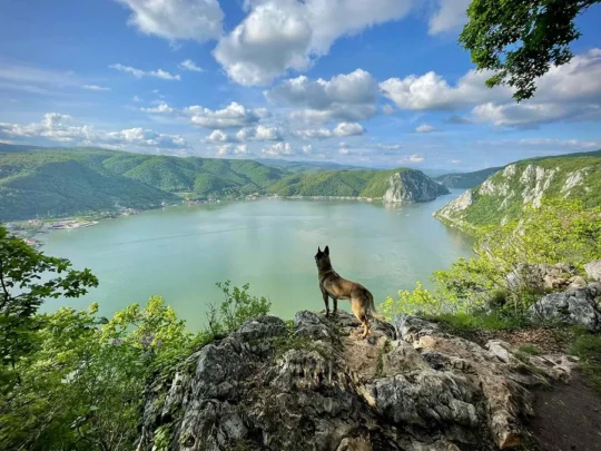 Statuia lui Decebal | Municipiul Dubov | Mănăstirea Mraconia