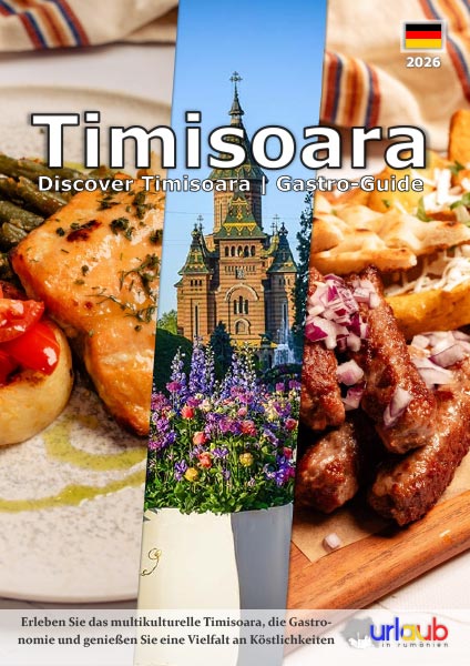 timisoara-brochure-de-preview